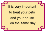 Treat pets and house for fleas on the same day